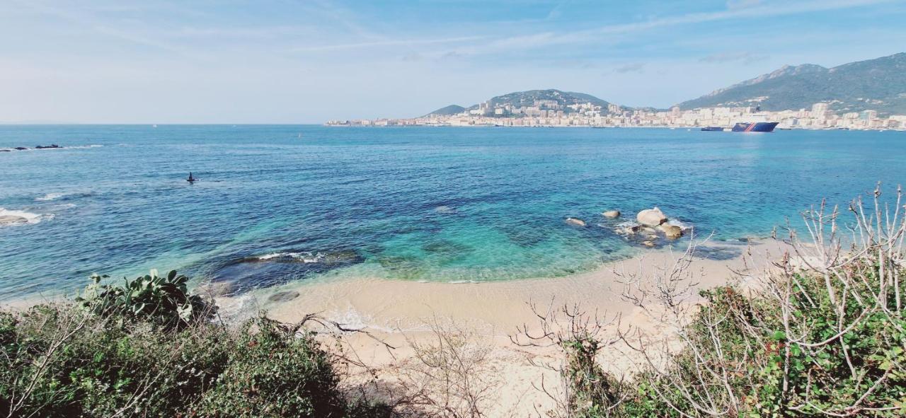 Incroyable T2 Plein De Charme Avec Balcon Vue A L'entree D'ajaccio Apartment