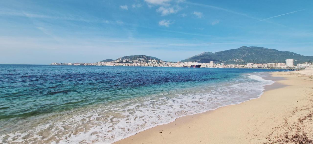 Incroyable T2 Plein De Charme Avec Balcon Vue A L'entree D'ajaccio Apartment